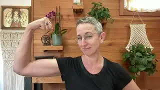 HMB:  A Supplement for Muscle Mass Retention +Healthy  Aging 💪