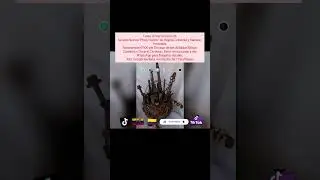 Lunes 12 Martes 13/01/26 Saludos Bogot&aacute; y Maracay Rayamientos 07 pm. M&aacute;s informaci&oacute;n x mis WhatsApp.