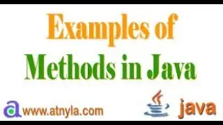 Learn Programming in Java Function Example