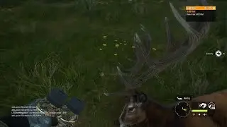 Hunting the map. That is most similar. To the New Scotland map.