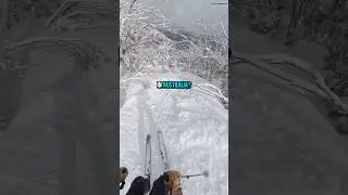 Стоит ли ехать?