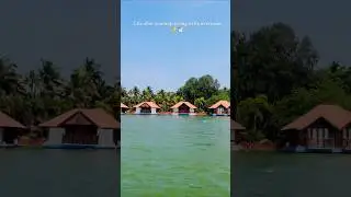 ✨🕊️ #viral #shorts #shortvideo #explore #trending #peace #travel