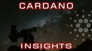 Cardano (ADA) Insights | Cardano Insights