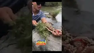 Scary hand caught aahat aahat short #aahat #shorts #ytshorts