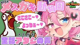 🩷LIVE￤おいでよメスガキ動物園『MyVoiceZoo』【うにたろ】