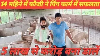 10 pig ka pig farm start kar रिटायर्ड फौजी ने मात्र 14 महिने में करोड़ कि सफलता।