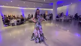 Wedding Violinist - Luxury Wedding - Cocktail Hour Musician - Level 3 Miami - Dj Lexey
