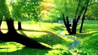 City Park Sounds For Relaxation | White Noise & Study Aid | Bird Sounds