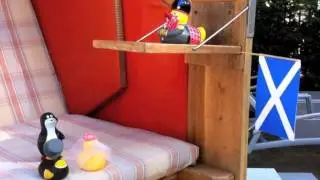 Enten-Hochzeit