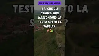 Struzzi