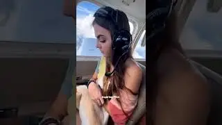 Flying with Dogs on board 🐶 passengers 🤩/#shorts #pilot #youtubeshorts #pilotlife