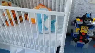 Davinici Jenny Lind VS  Babyletto Lolly 3 in 1 Convertible Crib