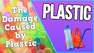 Plastic Environmental Impact!!... Why Plastic Straws Are a Problem PART 5!!