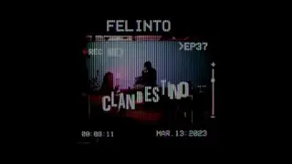 CLANDESTINO 037 FELINTO