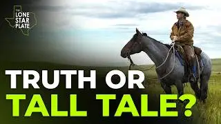 Testing Texas Stereotypes: What’s REAL and What’s a MYTH?
