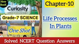 Class 7 Science | Chapter 10 | Life Processes in Plants | NCERT Question Answers | Curiosity | CBSE