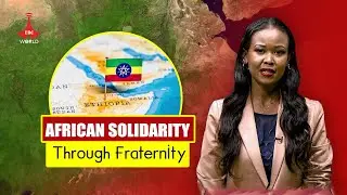 African Solidarity through Fraternity