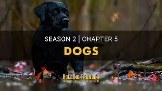Ep 15 &bull; Dogs &bull; duck hunting with Labrador retrievers makes it better!