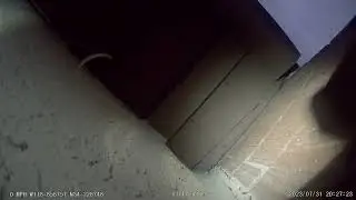 Bat Repeller