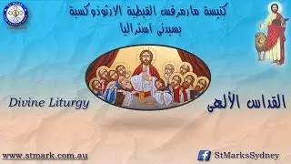 القداس الألهى  31/01/2026