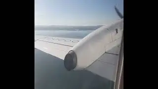 Flying Auckland to Whanganui on Air Chathams