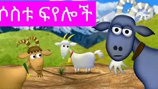 ሶስቱ ፍየሎች ተረት( The Three   billy goat gruf)kids story in amharic