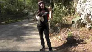 Dog Training: How To Teach Your Puppy To Ring A Bell to Be Let Outside