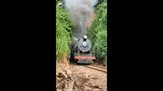 🇧🇷 Locomotiva no tunel / Steam locomotive in the tunnel - S&atilde;o Bento do Sul/SC (Brasil) #shorts