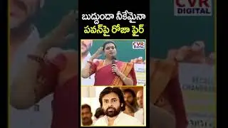 పవన్ పై రోజా షాకింగ్ కామెంట్స్ | Roja Shocking Comments On Pawan | CVR Digital
