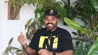 Inside Hiltons Head Podcast (New Target Collection!)