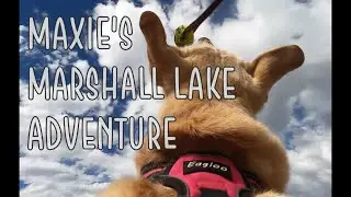 Maxie's Marshall Lake Adventure