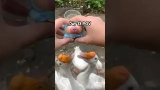 New crackers 😋 #viral #fyp #trending #funny #cute