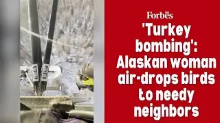 'Turkey bombing': Alaskan woman air-drops birds to needy neighbors