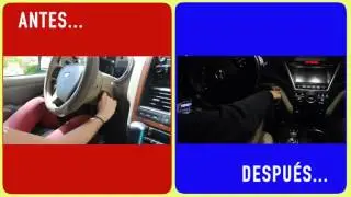 VDMN