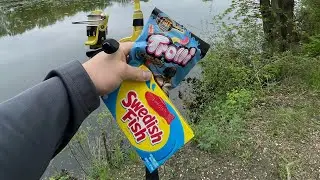 Swedish Fish Vs Gummy Worm Fishing Challenge!