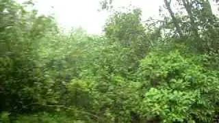Superb Climate along roadside - Idukki district