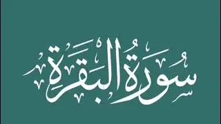Sure baqra most heart touching recitation peaceful recitation||best tilawat Al-huda TV 