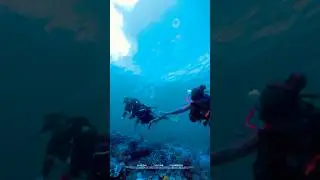 🌊 First Open Circuit Dive 🤿 🪸