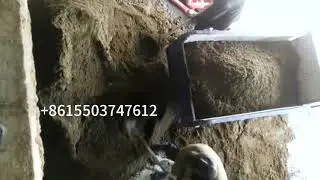 Screw solid liquid separator machine Manure dryer equipment Pig / Chicken/ Cattle Manure Processor