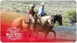 Today's Wild West |  Season 2 Episode 3 | Full Episode | Valorous TV