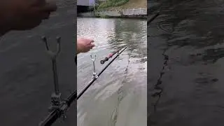 Big rod clamp new model new function fishing fishingtechniques fishingequipment Black pit boss