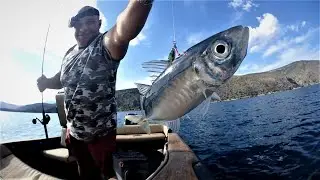 Micro Jigging! Jack Mackerel Wars with Jig Minnow 8gr.