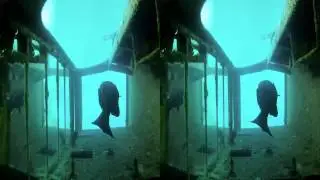 go pro Durovis dive 3d