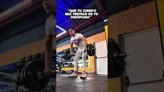 Que t&uacute; cuerpo sea testigo de tu disciplina #negocio #fyp #parati #gym #smartfit