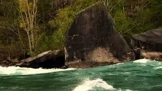 Niagara Glen Nature Reserve- Crown Jewels of Ontario