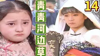 【青青河邊草-DVD未刪減版】EP14：世緯回家退婚，二老以死相逼他拋棄青青！主演：劉雪華，馬景濤 ！