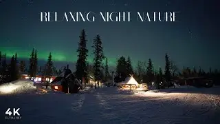 Magical Night in Nature | 4K ULTRA HD Relaxing Ambience with Stars, Forest & Ocean