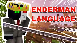 Ranboo Speaks ENDERMAN LANGUAGE To Tubbo! (Dream SMP)