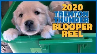 2020 Trenton Thunder Blooper Reel