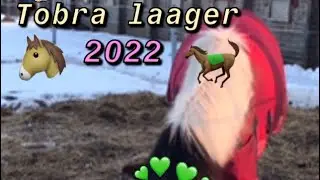 Tobra laager 2022 🐴🐎💚🤎